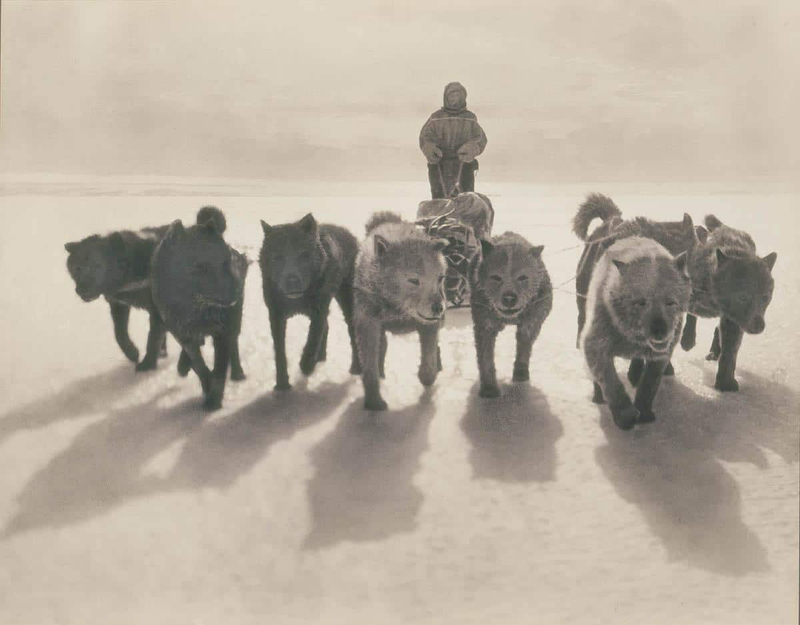 Illustration for article titled Este hombre se fue de expedición a la Antártida con dos compañeros, tres trineos y 16 perros. Regresó solo tres meses después